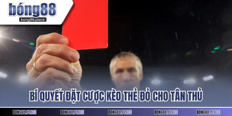Bí quyết đặt cược kèo thẻ đỏ cho tân thủ