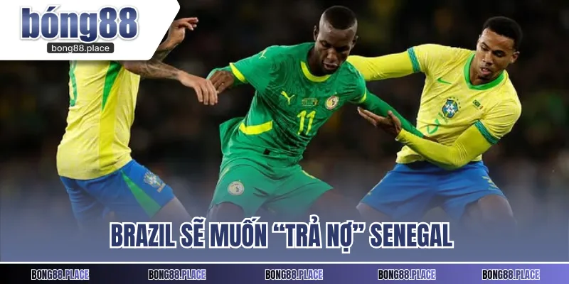Brazil vs Senegal là hai đội tuyển hàng đầu