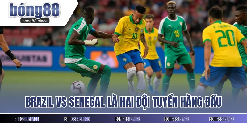 Brazil vs Senegal là hai đội tuyển hàng đầu