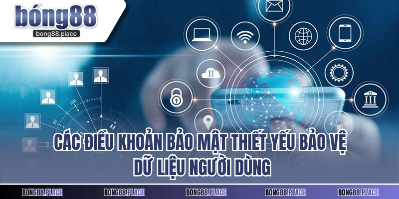 Các điều khoản bảo mật thiết yếu bảo vệ dữ liệu người dùng