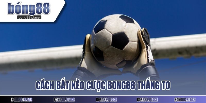 Cách bắt kèo cược BONG88 thắng to