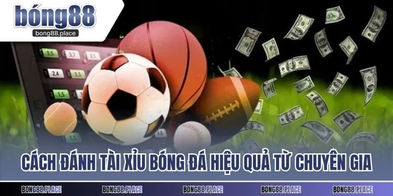 Cách đánh tài xỉu bóng đá hiệu quả từ chuyên gia