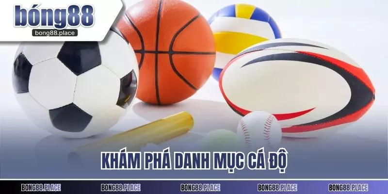 Khám phá danh mục cá độ