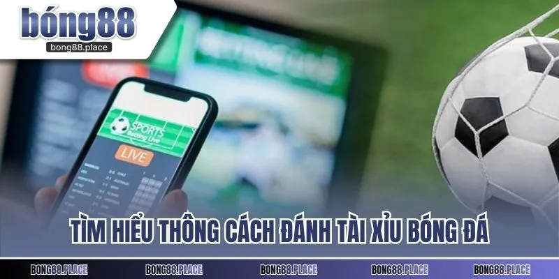 Tìm hiểu thông cách đánh tài xỉu bóng đá