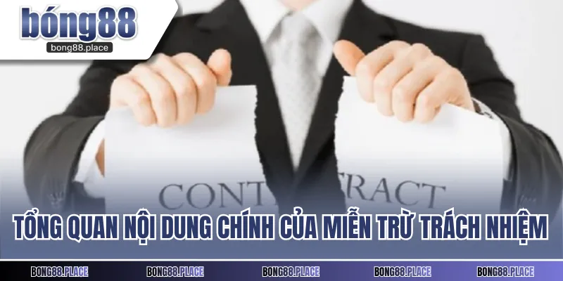 Tổng quan nội dung chính của miễn trừ trách nhiệm